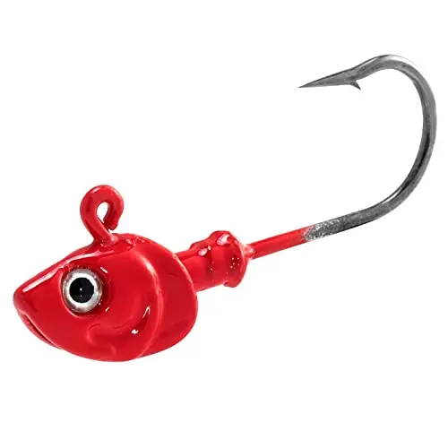 Best Saltwater Jig Heads - 2026 Reviews - Bigg Fish Lures